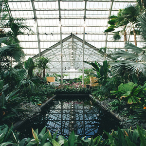 亚洲女人对男人张开双腿
